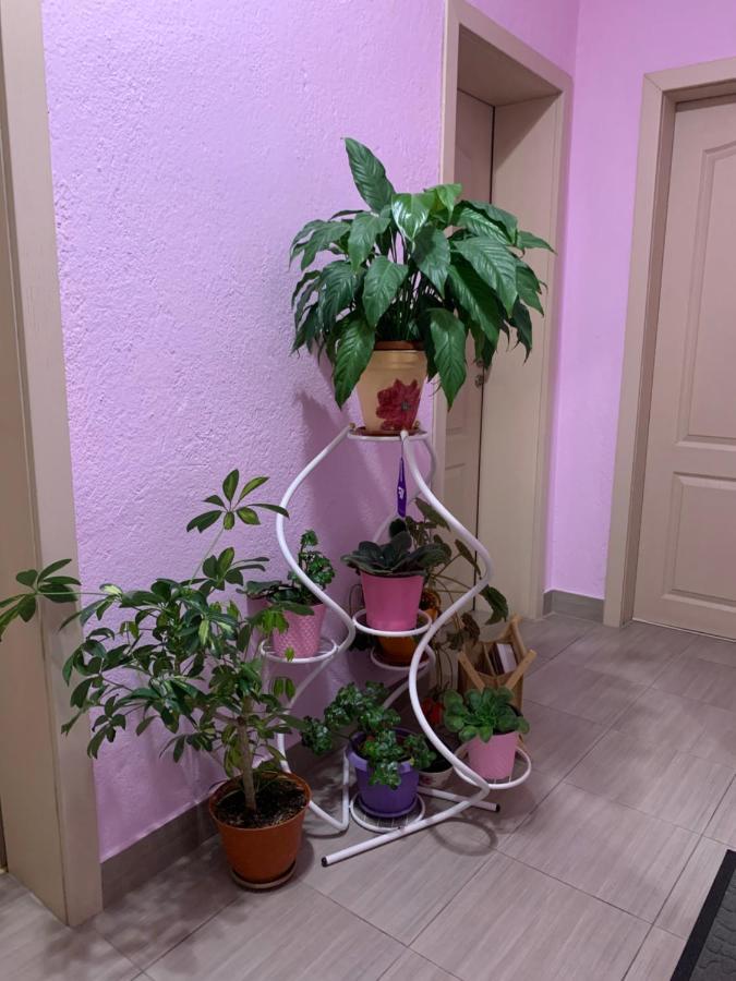 Къща За Гости Стойнови Pavel Banja Exteriör bild